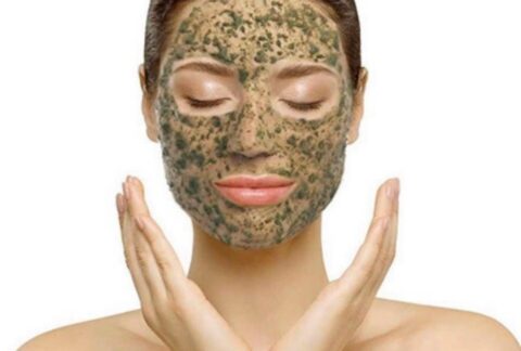 Zena Algae Peel - $200